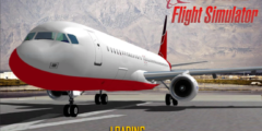 REAL FLIGHT SIMULATOR 2